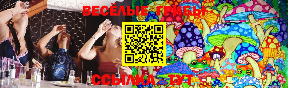 Сегежа  Псилоцибиновые грибы Psilocybine cubensis  Вход с VPN 